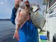 マダイ・カイワリ