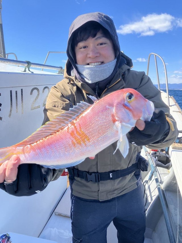 アマダイ(アカアマダイ)