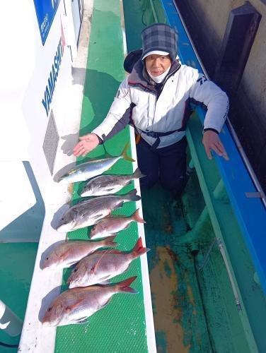 マダイ・クロダイ・イナダ(ブリ)