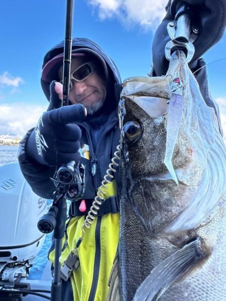 シーバス(スズキ)