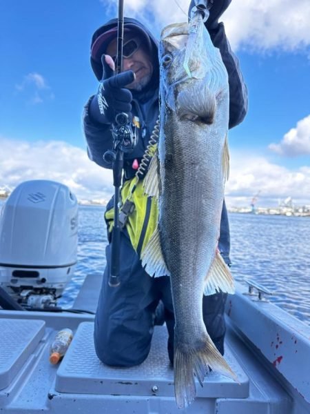 シーバス(スズキ)