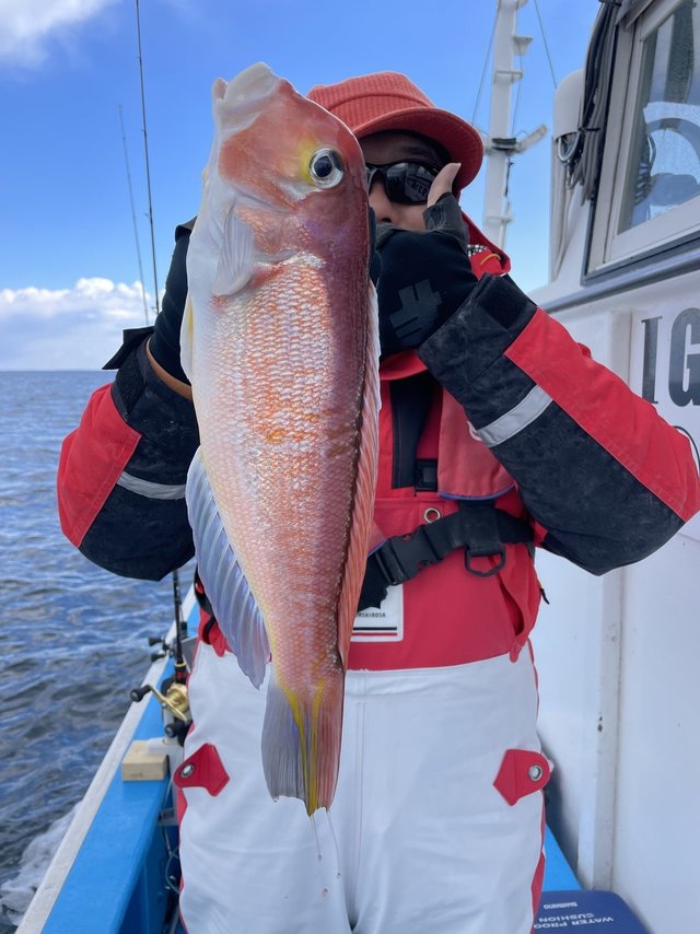 アマダイ(アカアマダイ)