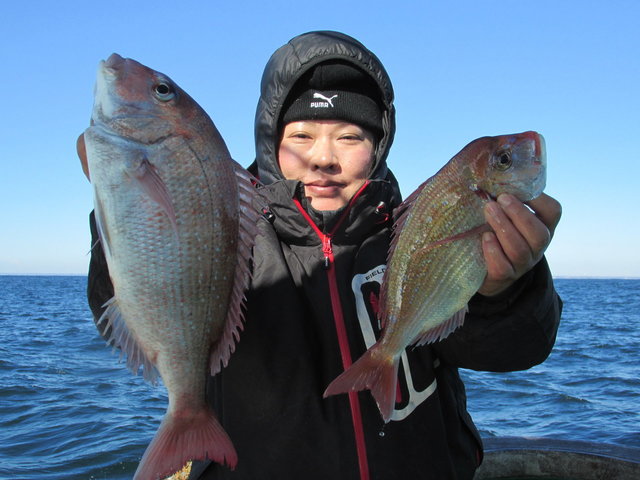 ハナダイ(チダイ)