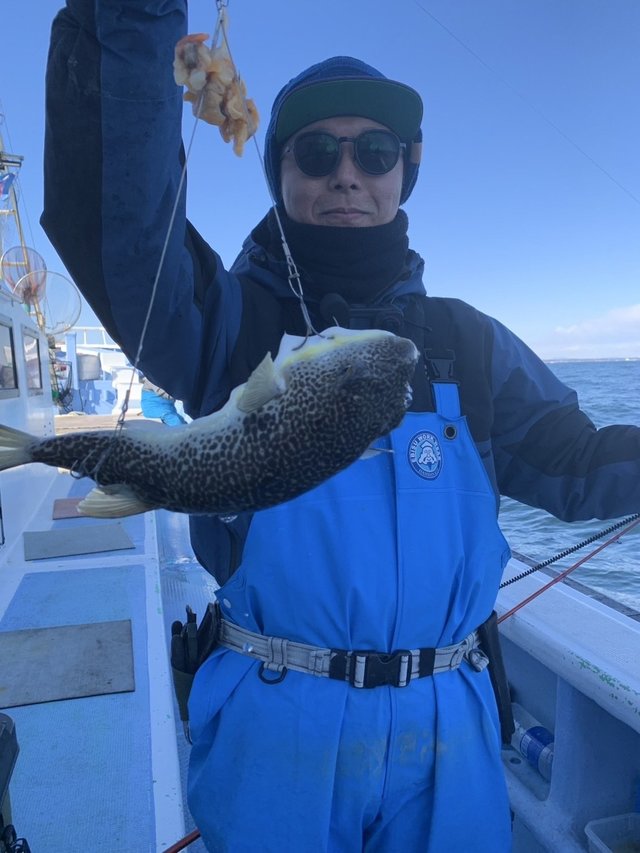 ショウサイフグ