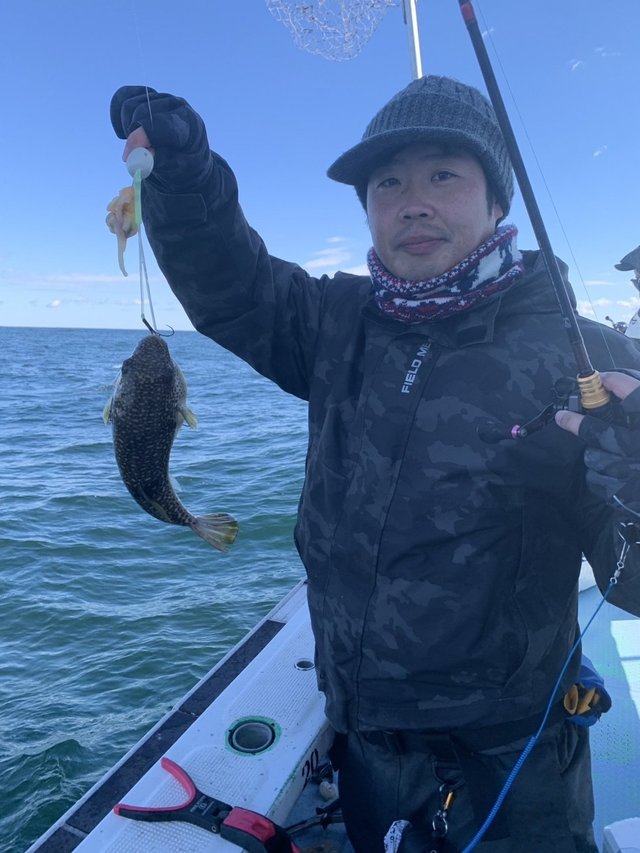 ショウサイフグ