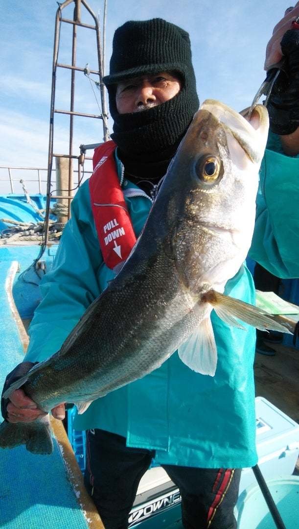 シーバス(スズキ)