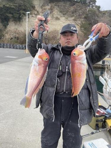 アマダイ(アカアマダイ)