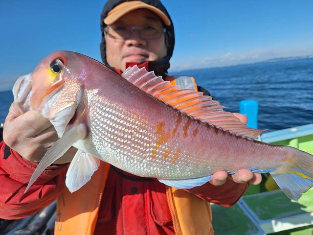 アマダイ(アカアマダイ)