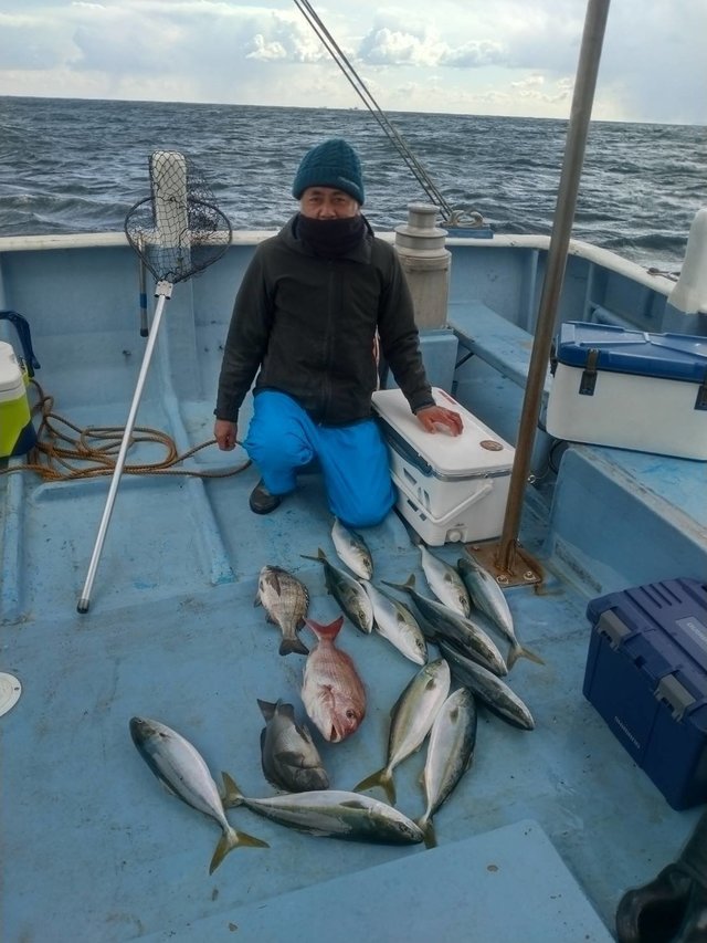 マダイ・イナダ(ブリ)