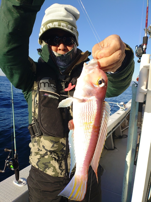 アマダイ(アカアマダイ)