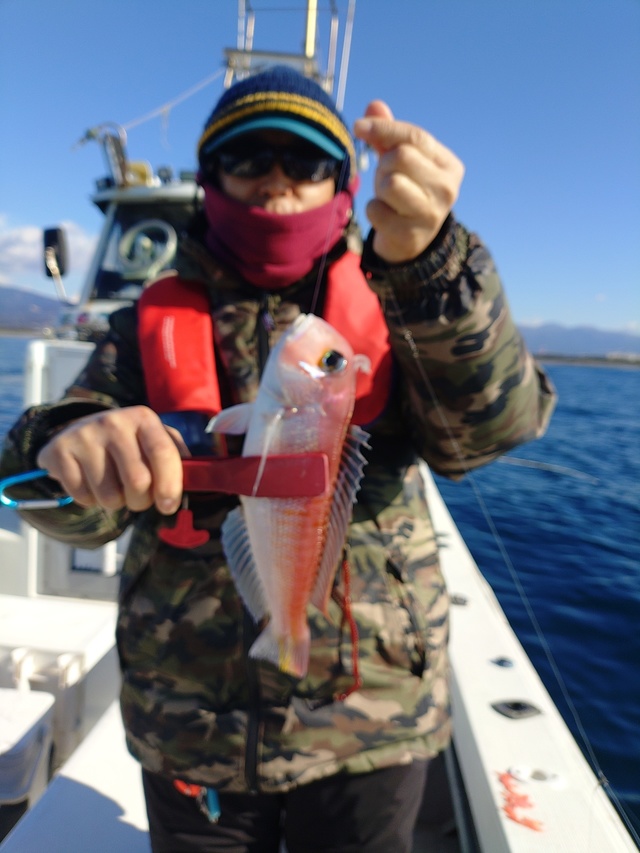 アマダイ(アカアマダイ)