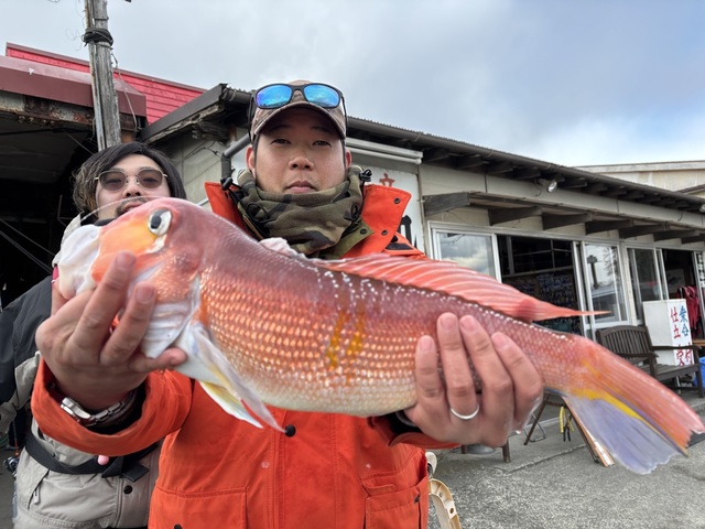 アマダイ(アカアマダイ)