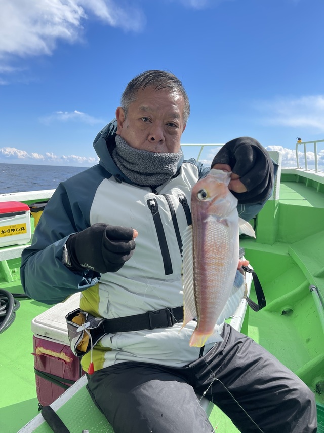 アマダイ(アカアマダイ)