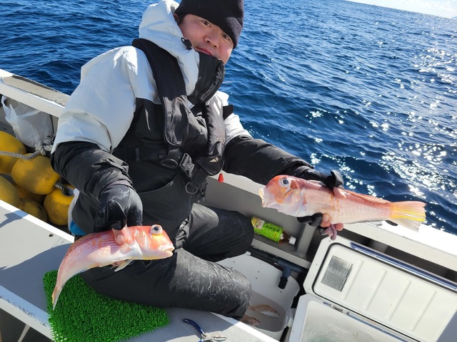 アマダイ(アカアマダイ)