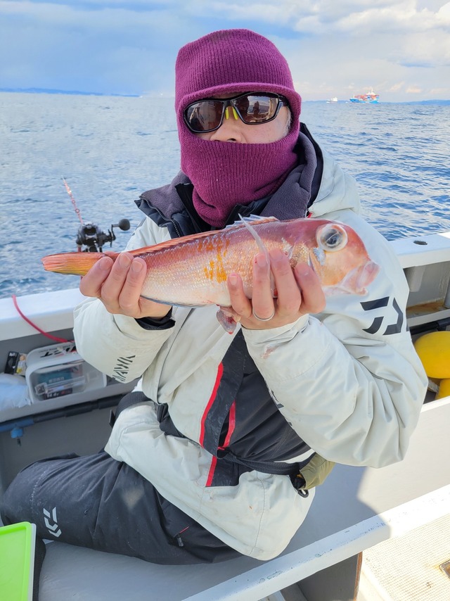 アマダイ(アカアマダイ)