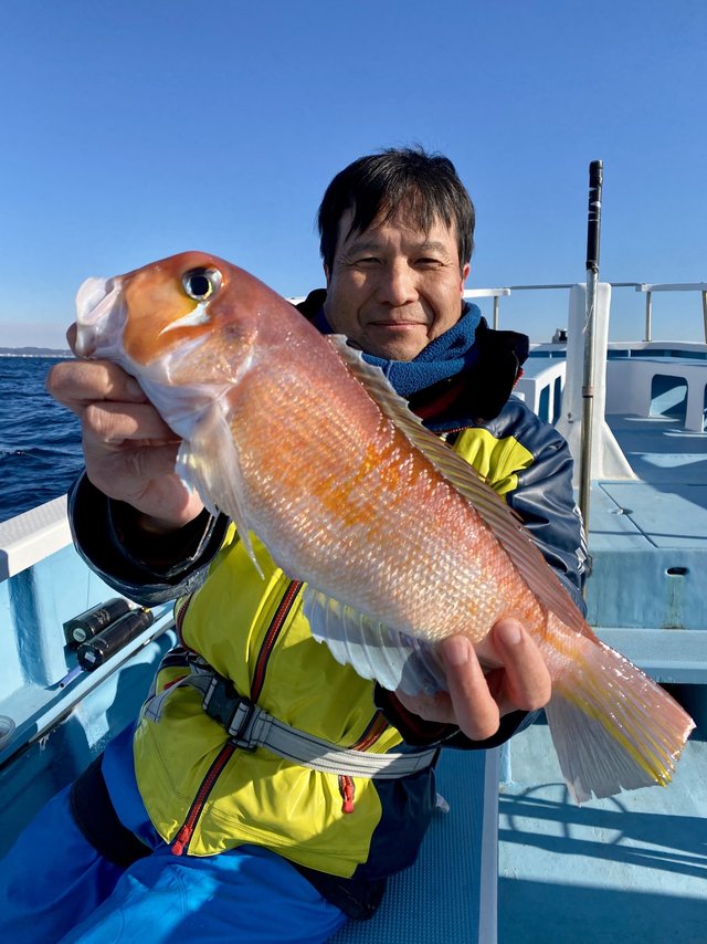 アマダイ(アカアマダイ)