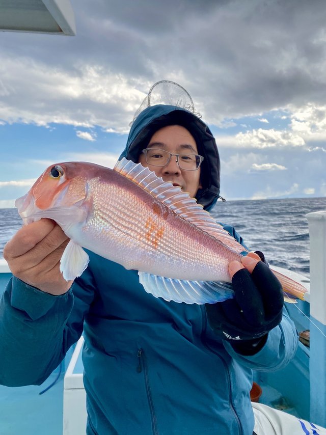 アマダイ(アカアマダイ)