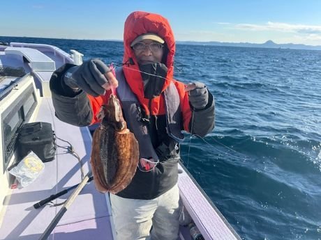 スミイカ(コウイカ)