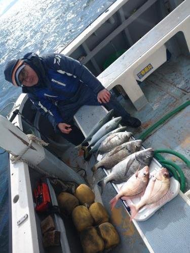 マダイ・クロダイ・イナダ(ブリ)