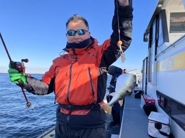 ショウサイフグ