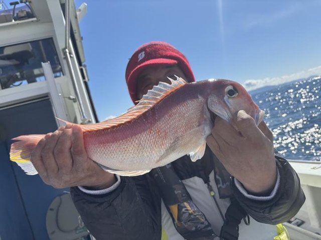 アマダイ(アカアマダイ)