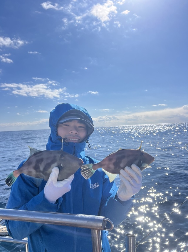 ウマズラハギ(ウマヅラハギ)