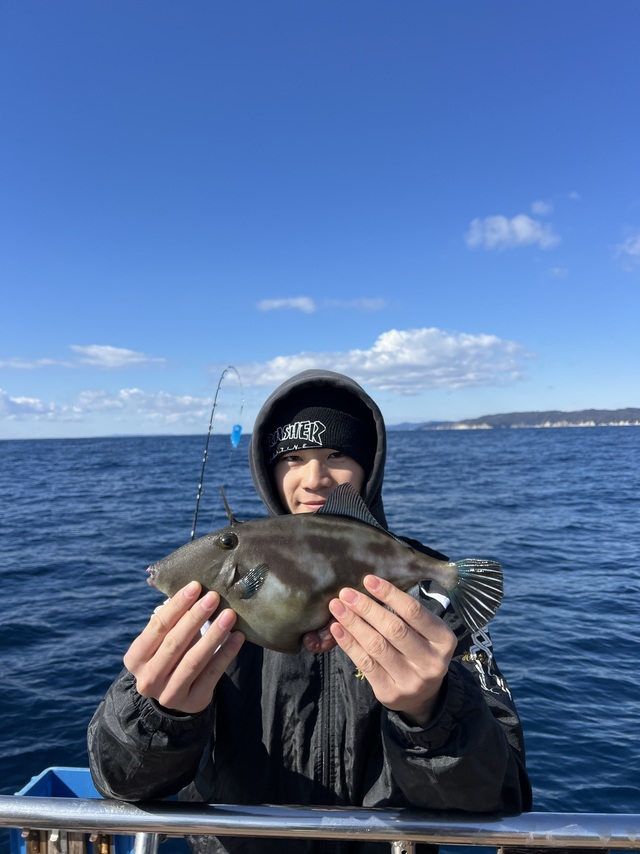 ウマズラハギ(ウマヅラハギ)