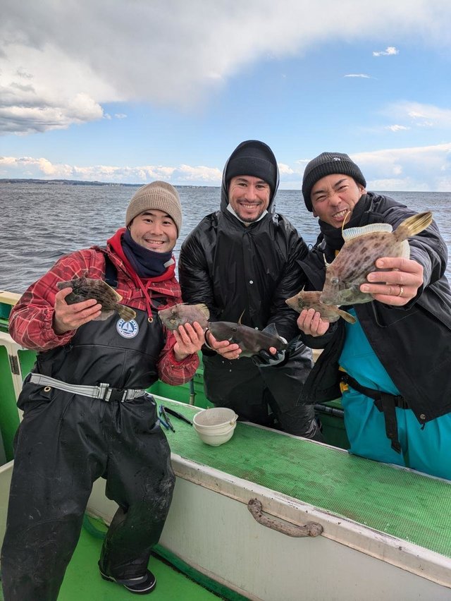 カワハギ・ウマヅラハギ