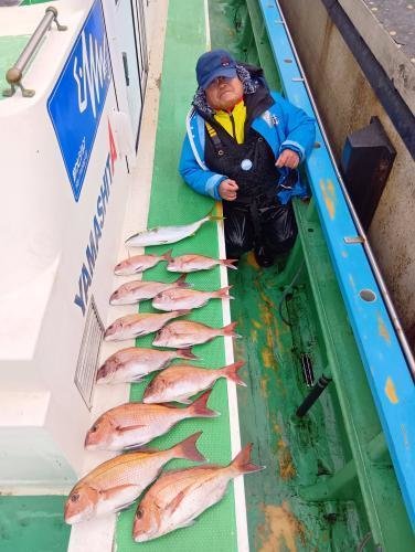 マダイ・クロダイ