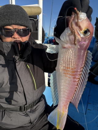 アマダイ(アカアマダイ)