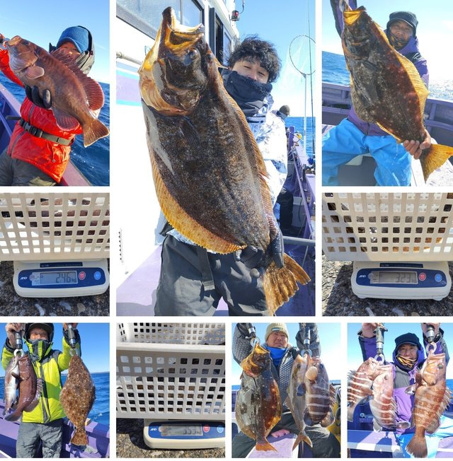 マハタ・ヒラメ