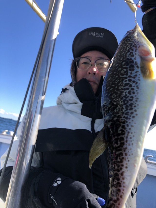 ショウサイフグ