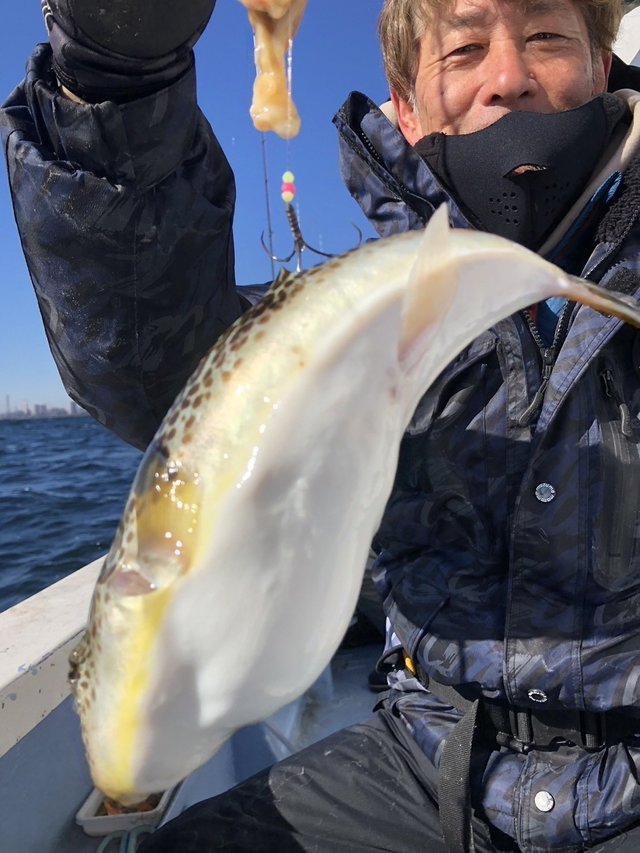 ショウサイフグ