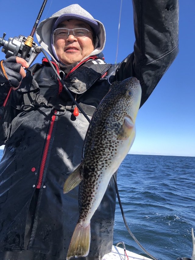 ショウサイフグ