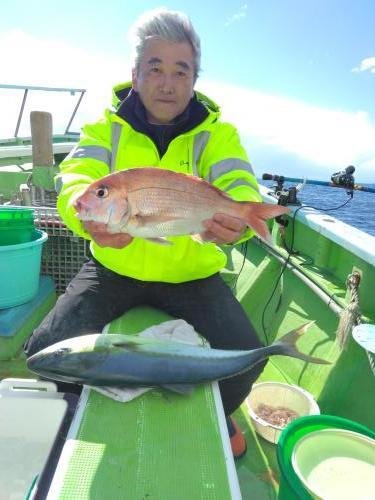 マダイ・ワラサ(ブリ)