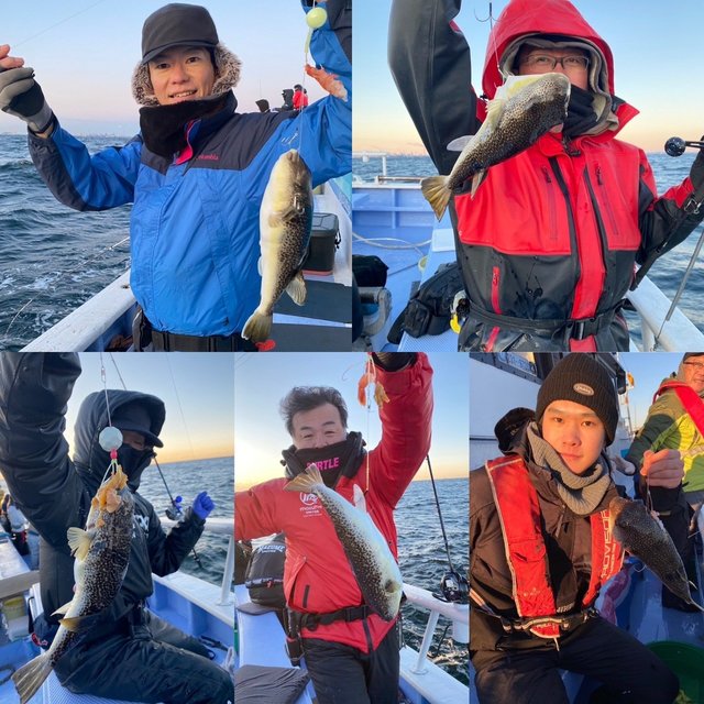 ショウサイフグ