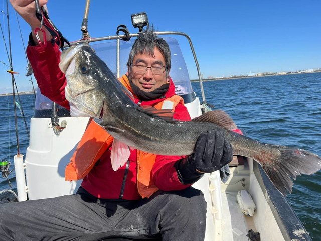 シーバス(スズキ)