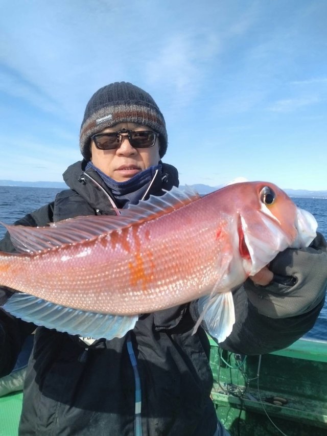 アマダイ(アカアマダイ)