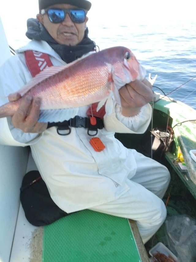 アマダイ(アカアマダイ)