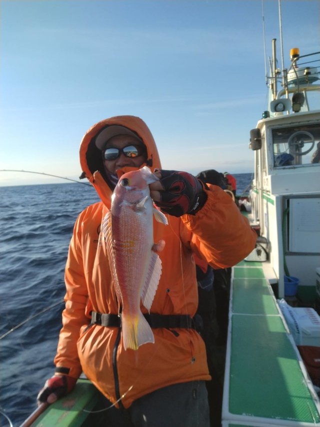 アマダイ(アカアマダイ)