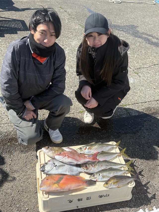 マダイ・イシダイ・マアジ・メイチダイ