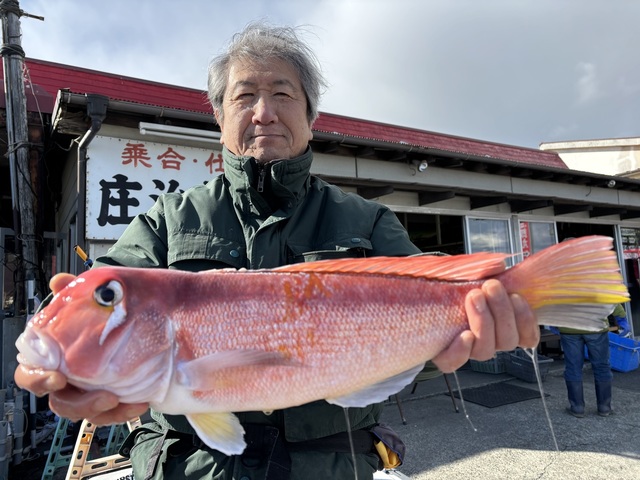 アマダイ(アカアマダイ)