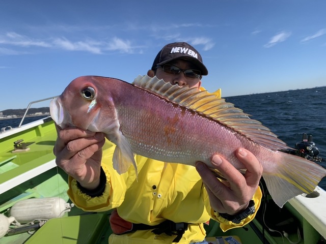 アマダイ(アカアマダイ)