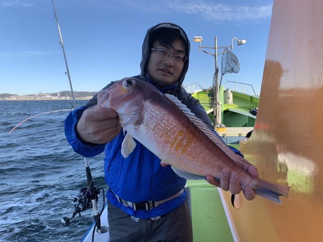 アマダイ(アカアマダイ)