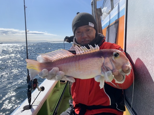 アマダイ(アカアマダイ)