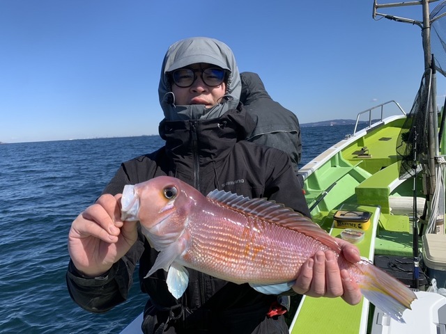 アマダイ(アカアマダイ)