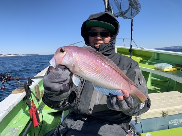 アマダイ(アカアマダイ)