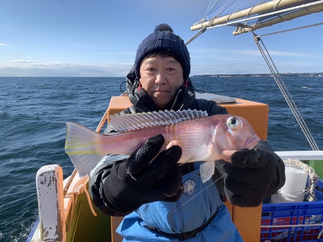 アマダイ(アカアマダイ)