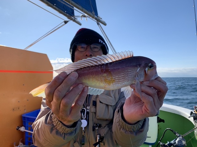 アマダイ(アカアマダイ)