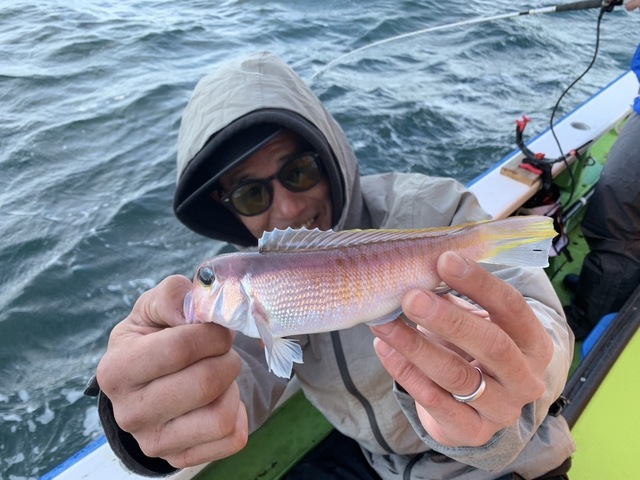 アマダイ(アカアマダイ)